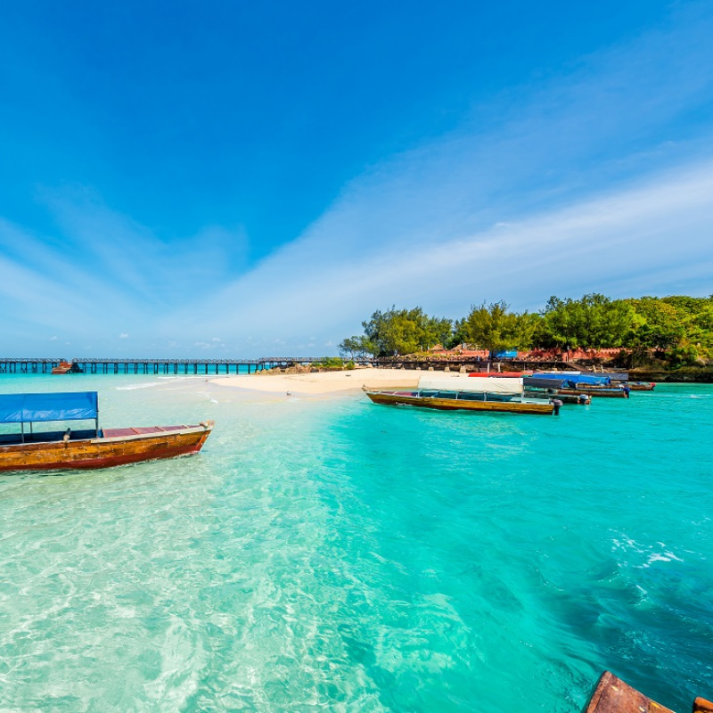 Zanzibar tropical beach and turquoise ocean