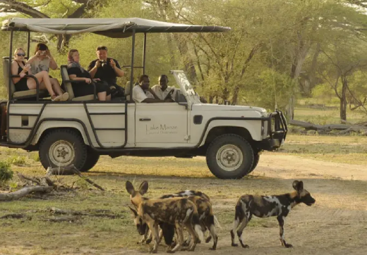 3 Days 2 Nights Serengeti Safari via Seronera From Zanzibar