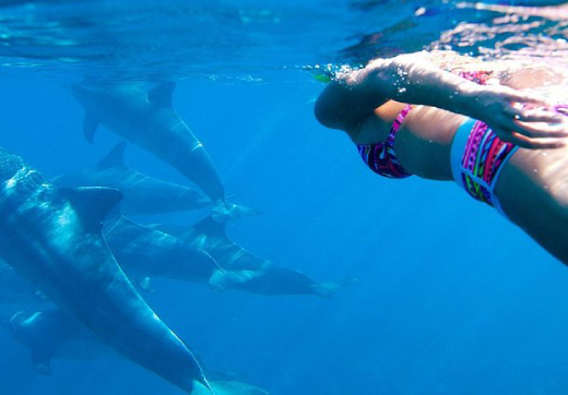 DOLPHIN KIZIMKAZI