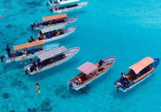 MNEMBA ISLAND ,