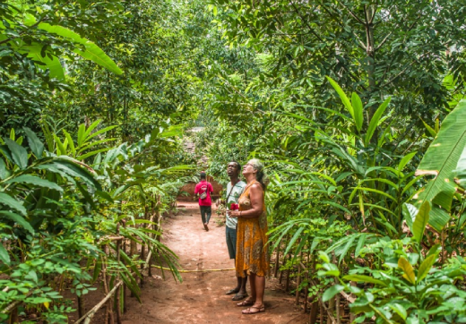 SPICE FARM  +  PRISON ISLAND &  STONE TOWN TOUR
