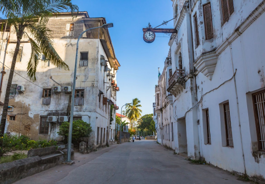 STONE TOWN TOUR