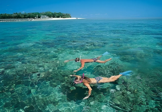 MNEMBA ISLAND ,