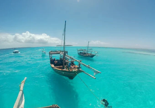MNEMBA ISLAND ,
